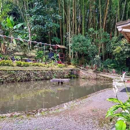Finca Turistica Los Rosales Pereira Exterior photo