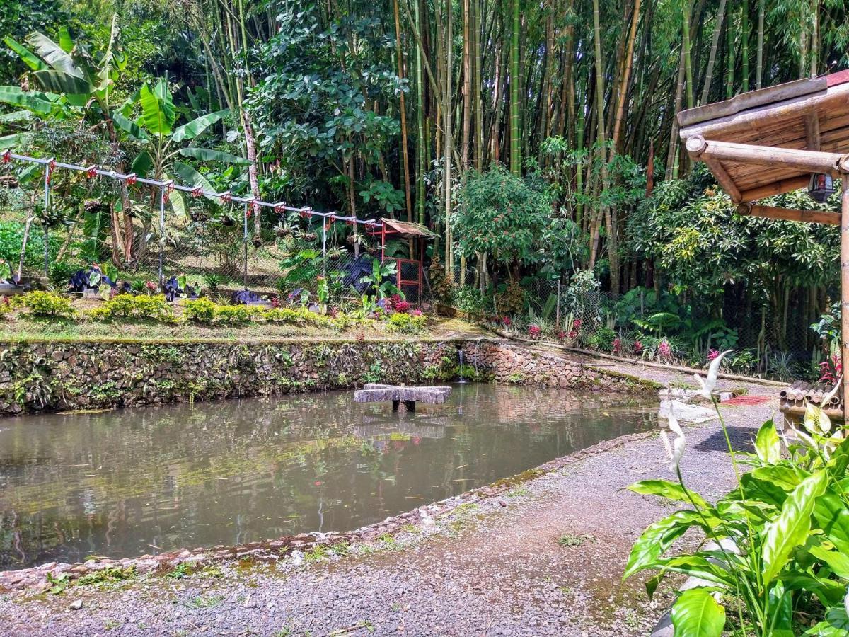 Finca Turistica Los Rosales Pereira Exterior photo